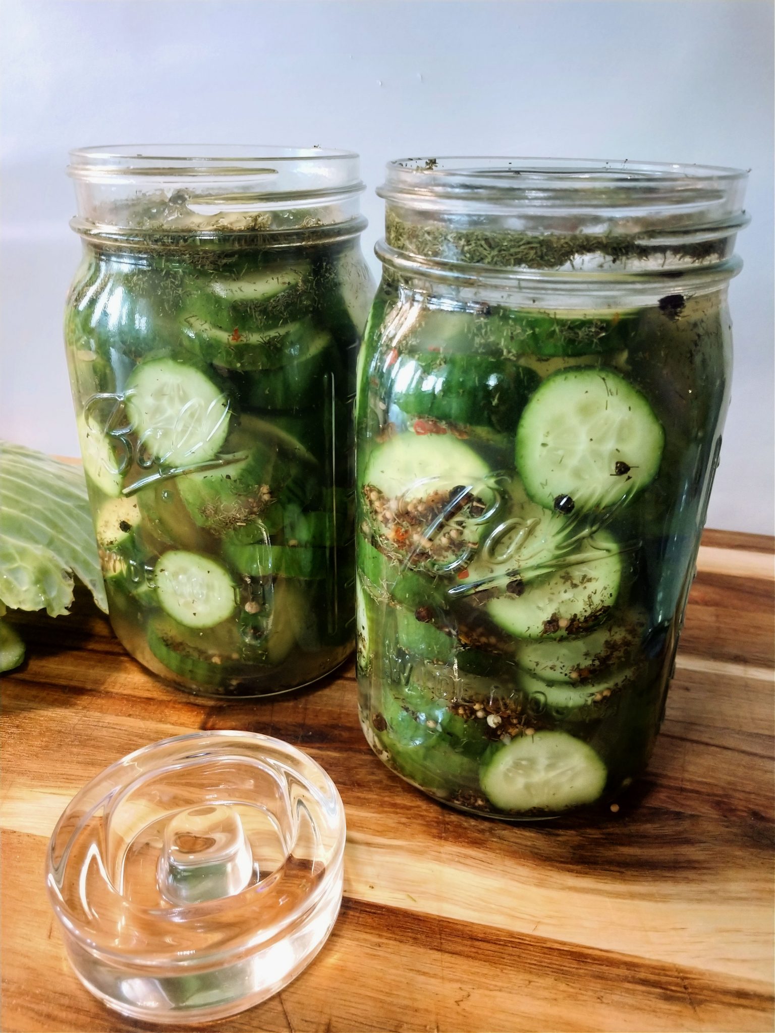Fermented Dill Pickles for Beginners Texas Roots Homestead